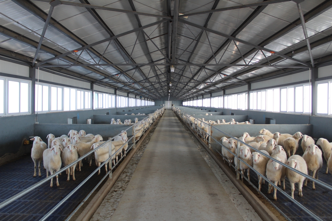 當(dāng)好產(chǎn)業(yè)扶貧主力軍，打贏脫貧攻堅(jiān)戰(zhàn)